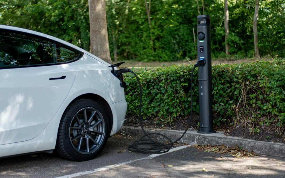 Good for the Planet, Better for Your Bottom Line: Why Sustainability is the New Competitive Edge